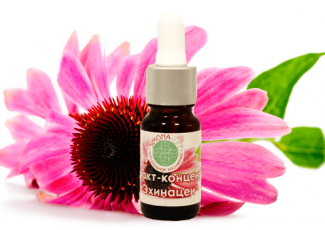Экстракт концентрат эхинацеи