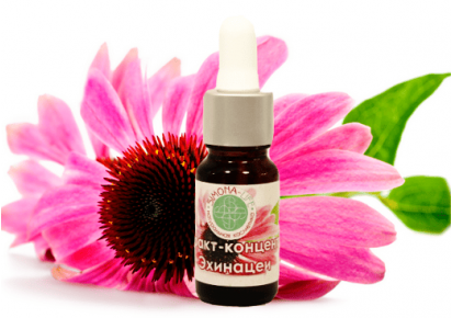 экстракт эхинацеи