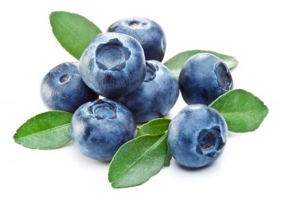 екстракт лохини