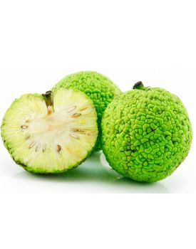 Экстракт концентрат Адамовое яблоко TEST Product Alt