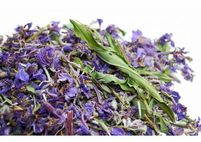 користь та шкода іван чаю іван чай користь та шкода