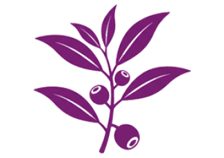 Чайное дерево