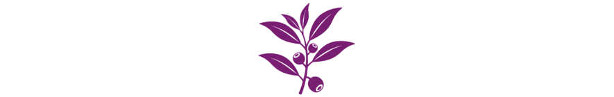 Чайное дерево TEST category Alt