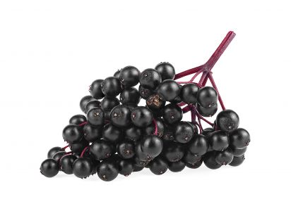 бузина чорна купити екстракт бузини