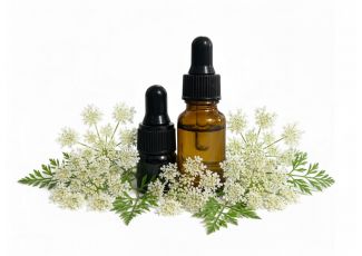 Эфирное масло дикой моркови NOW Foods