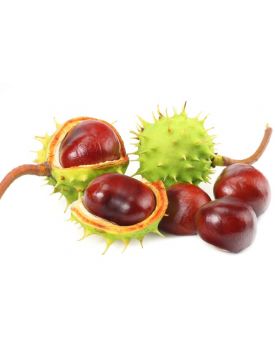 Гидролат каштана конского Цветы TEST Product Alt