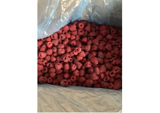 Екстракт концентрат малини