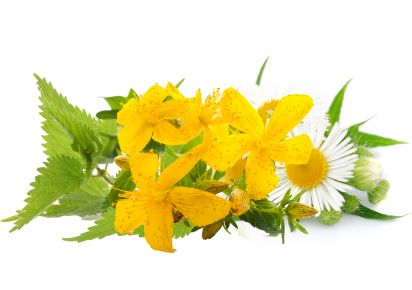 какая трава помогает от акне травы от акне