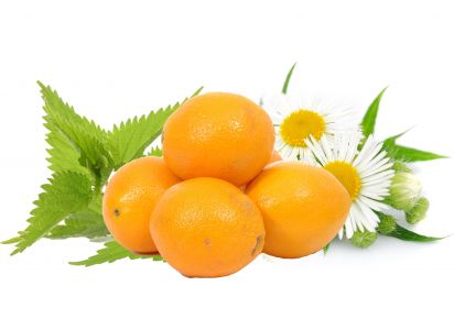 трави для полоскання волосся екстракти для волосся