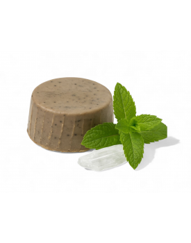 Шампунь на ПАВах  с ментолом TEST Product Alt