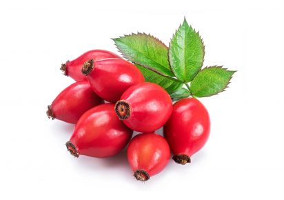 екстракт шипшини