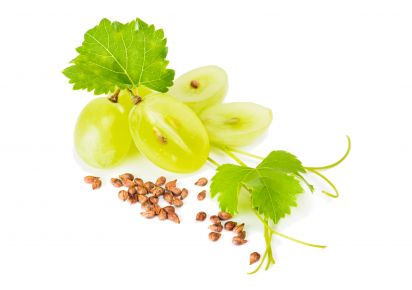 екстракт кісточок винограду екстракт листя червоного винограду