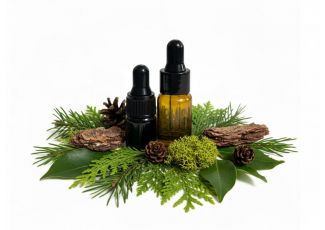 Эфирное масло Woodland Walk Nature Blend, Now Foods Эфирное масло Woodland Walk Nature Blend, Now Foods