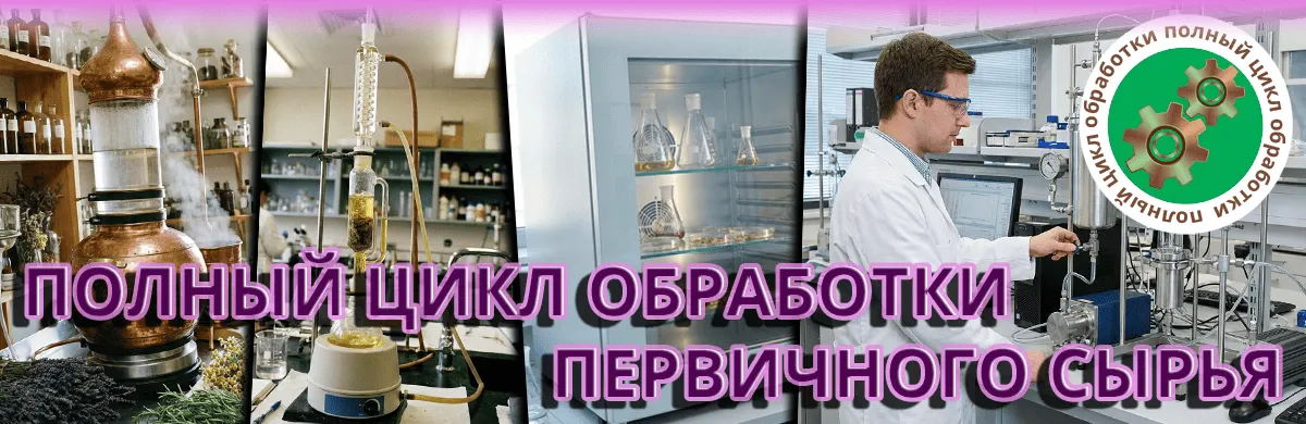 slaidi TEST Banner Alt