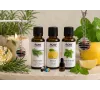купить аромакулон купить аромабрелок